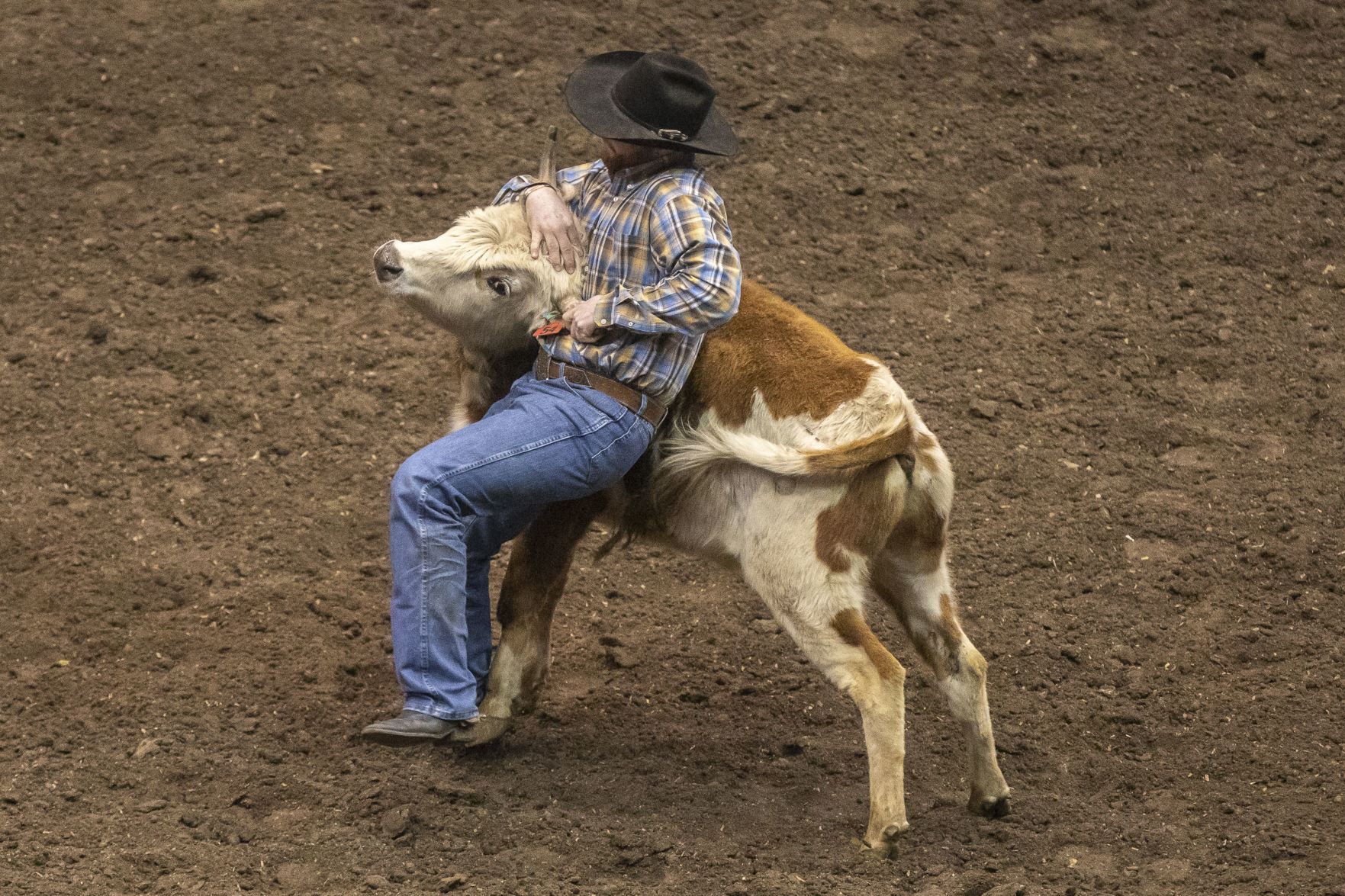 Rodeo Rapid City
